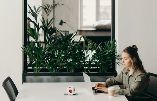 Corporate Travellers | Business Travellers